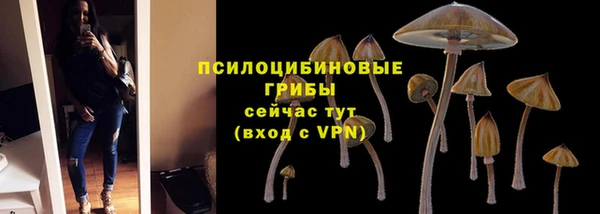 a pvp Бородино