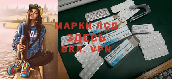 a pvp Бородино