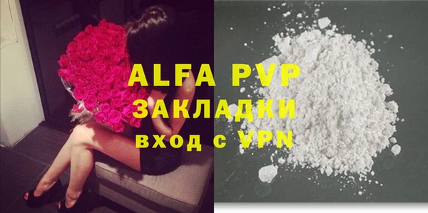 a pvp Бородино