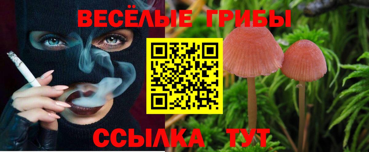 Малоярославец  Галлюциногенные грибы Magic Shrooms  Вход с VPN 
